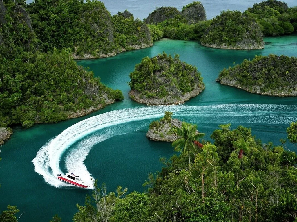Discover the Wild Side of Indonesia