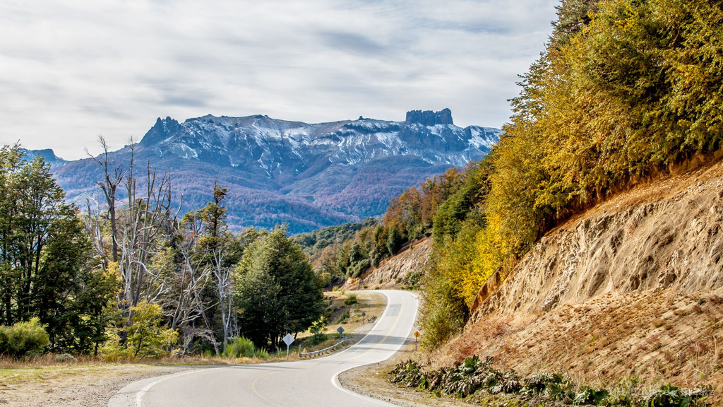 Take a Scenic Road Trip