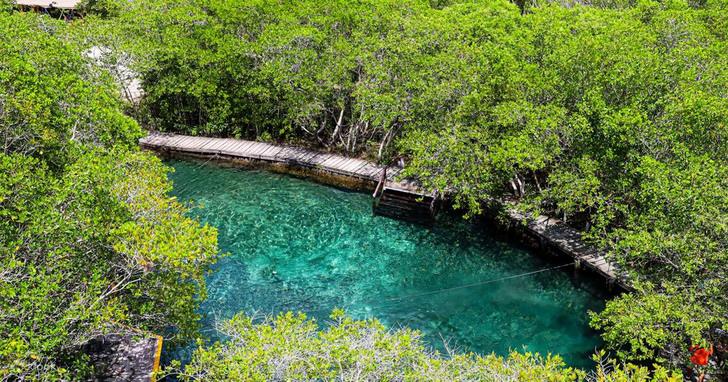 Discover Yalahau