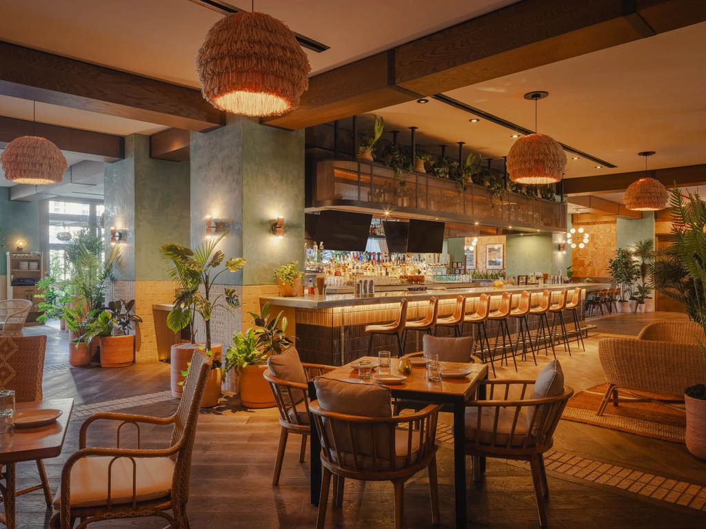 Dining and Drinks at the Hotel