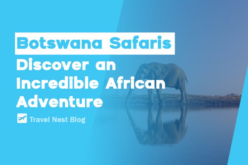 Botswana Safaris: Discover an Incredible African Adventure