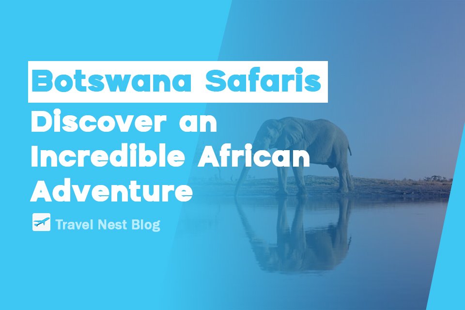 Botswana Safaris: Discover an Incredible African Adventure