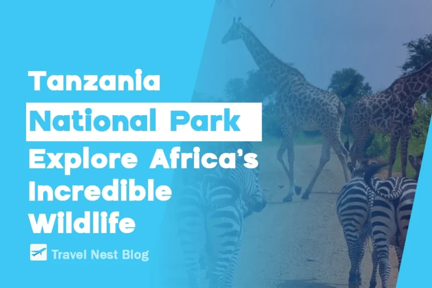 Tanzania National Park: Explore Africa’s Incredible Wildlife