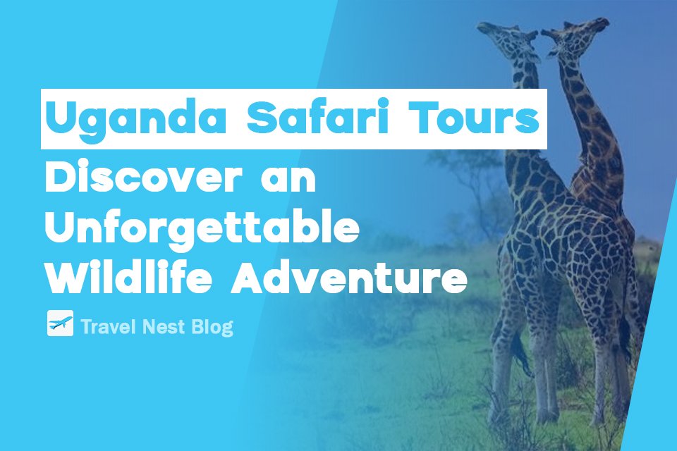 Uganda Safari Tours: Discover an Unforgettable Wildlife Adventure