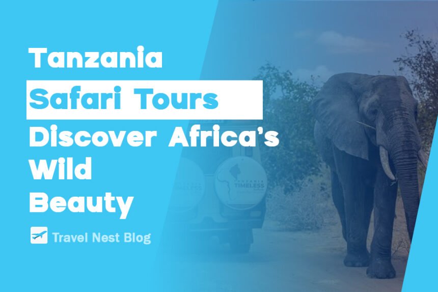 Tanzania Safari Tours: Discover Africa’s Wild Beauty
