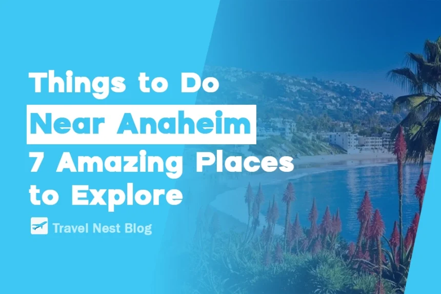 Things to Do Near Anaheim: 7 Amazing Places to Explore