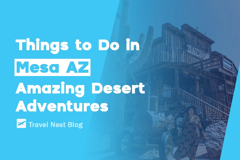 Things to Do in Mesa AZ: Amazing Desert Adventures