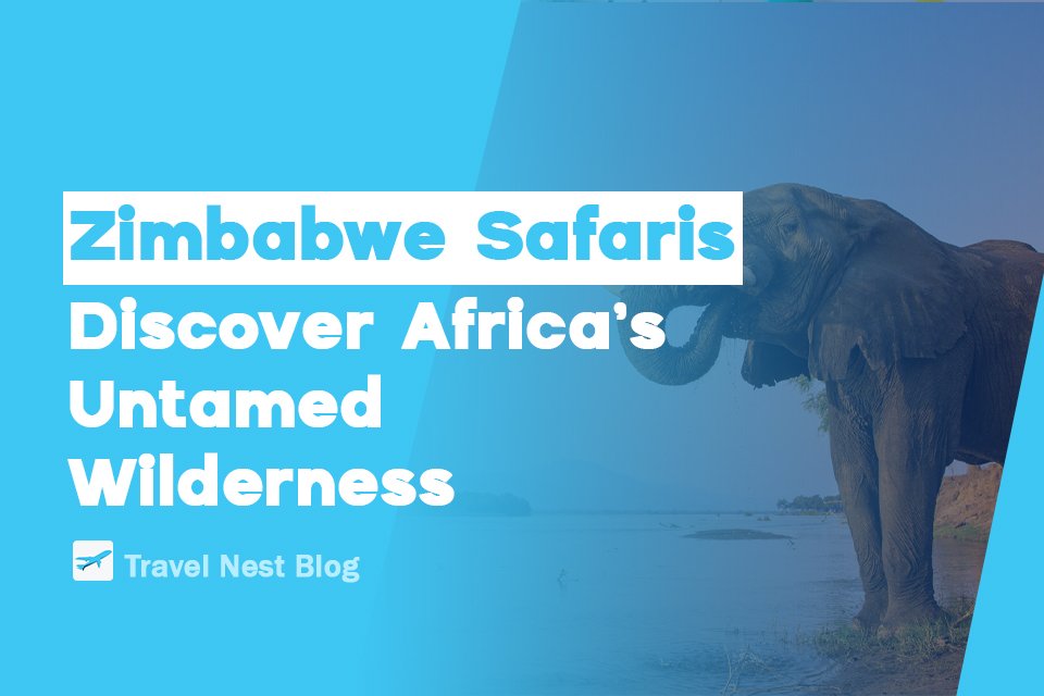 Zimbabwe Safaris: Discover Africa’s Untamed Wilderness