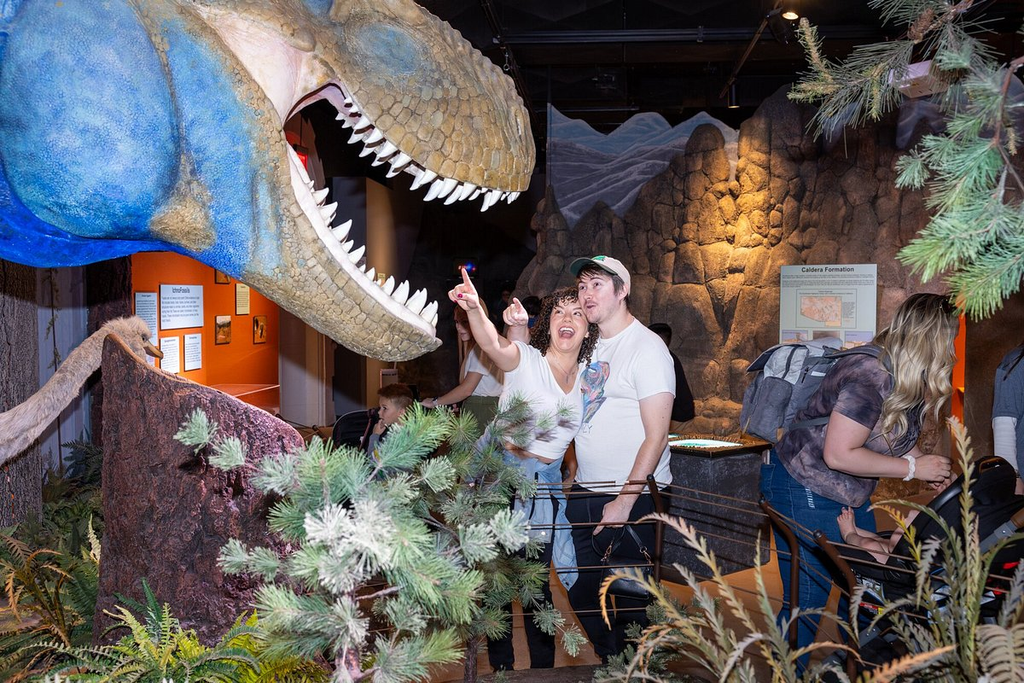 Explore the Arizona Museum of Natural History