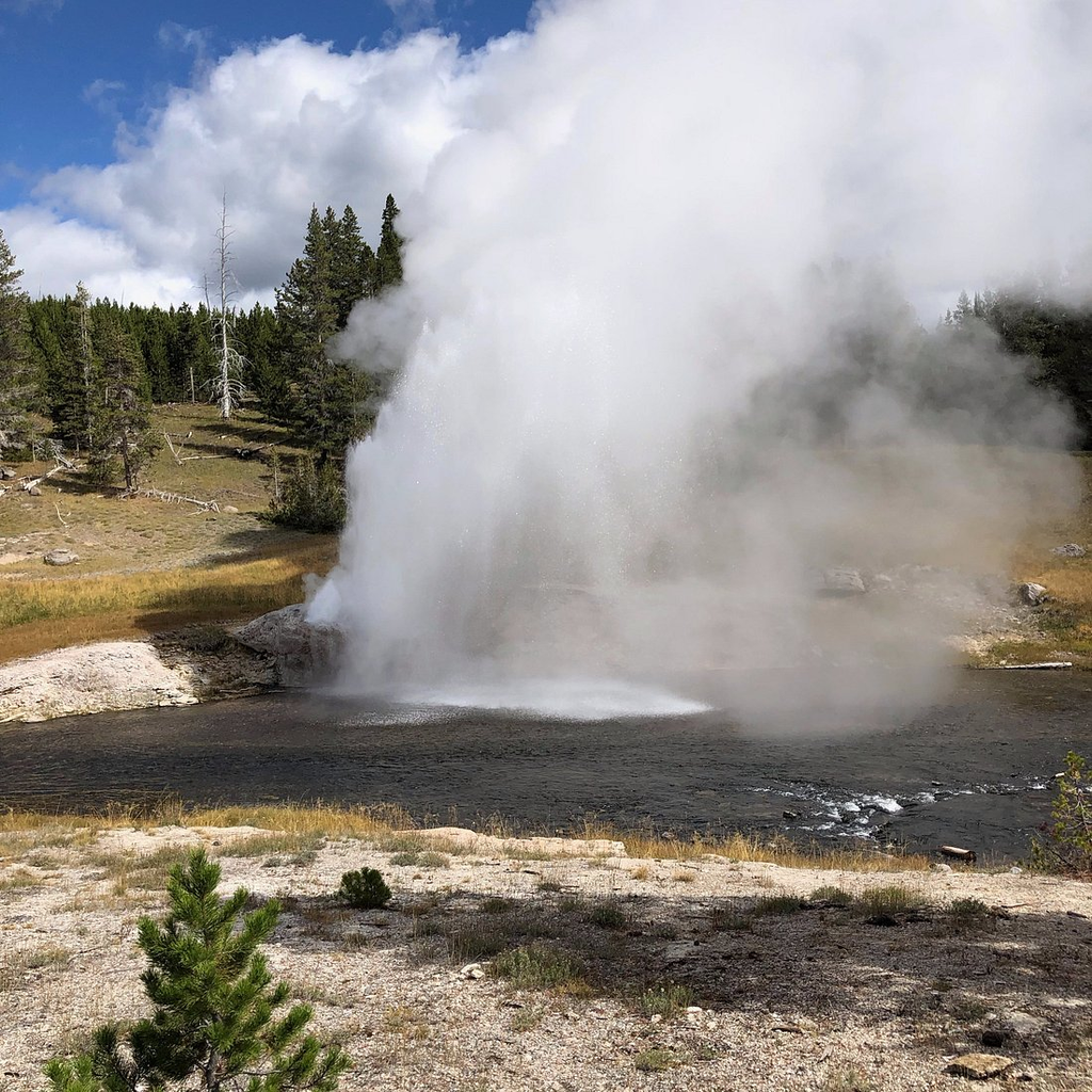 Riverside Geyser: A Beautiful Eruption Near the River
