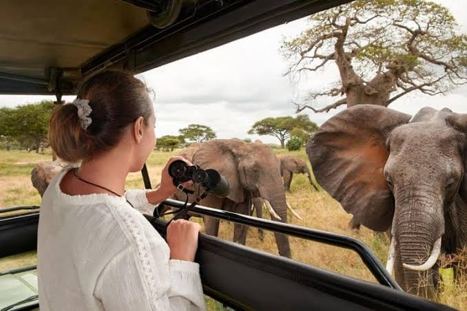 Why Choose Tanzania Safari Tours?