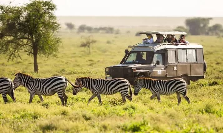 Prepare for Your Uganda Safari Adventure