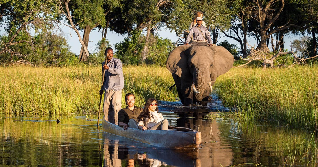 1. Explore the Okavango Delta