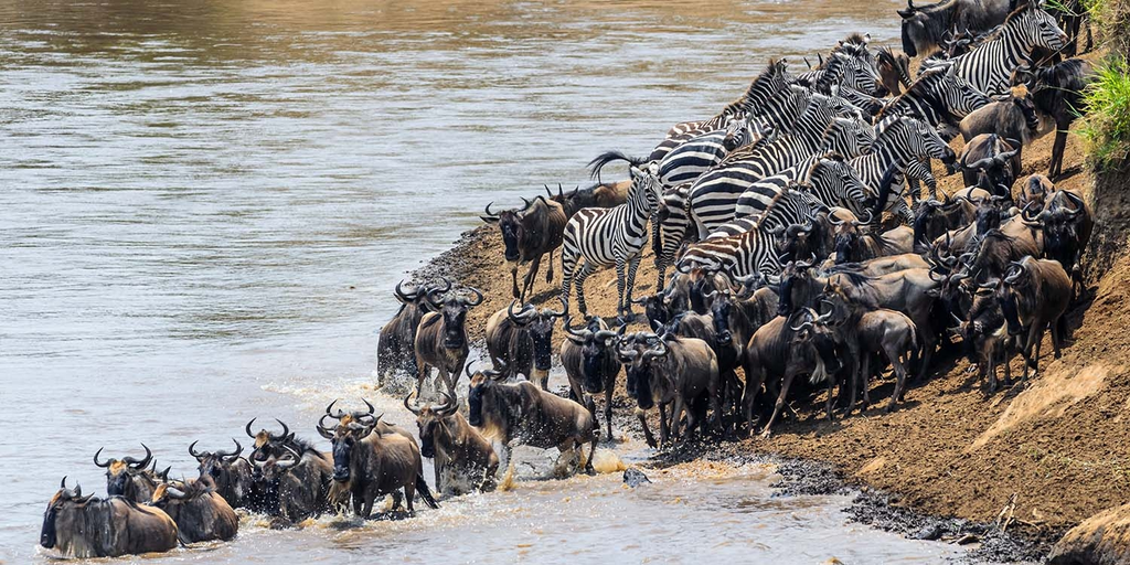 Serengeti National Park