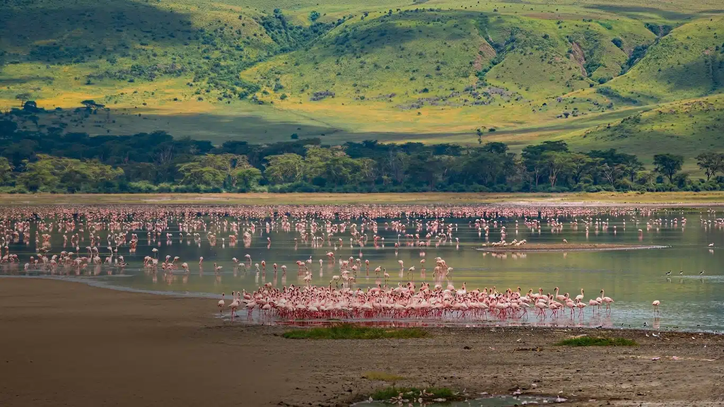 Lake Manyara National Park