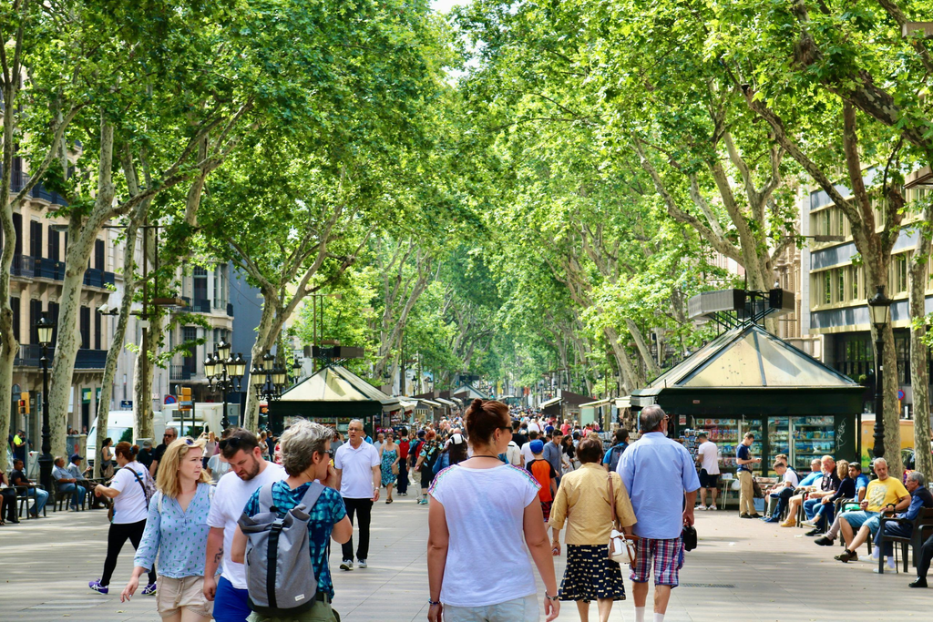 Walk Along La Rambla